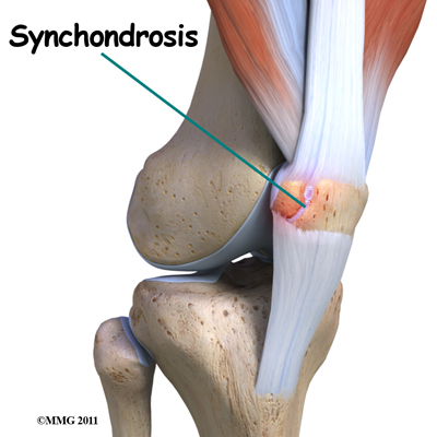 Kneecap moves sale side to side